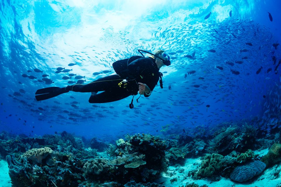 Alanya: Scuba Diving Tour With Lunch - Instruction and Safety