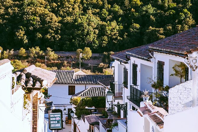 Albayzin and Sacromonte Guided Walking Tour in Granada - Photo Opportunities