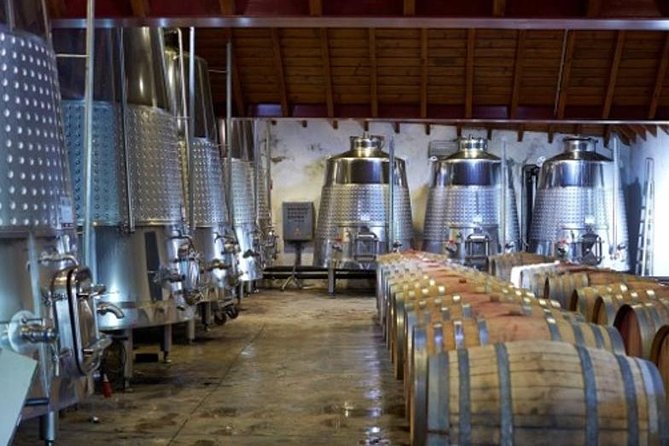 Algarve Wine Tour of Two Wine Estates - Winery Facilities and Atmosphere