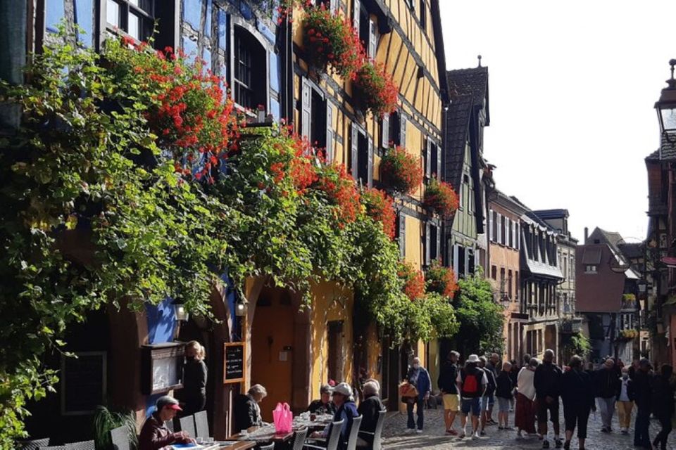 Alsace: Half-Day Wine Tour From Colmar - Winery Visit and Wine Tasting