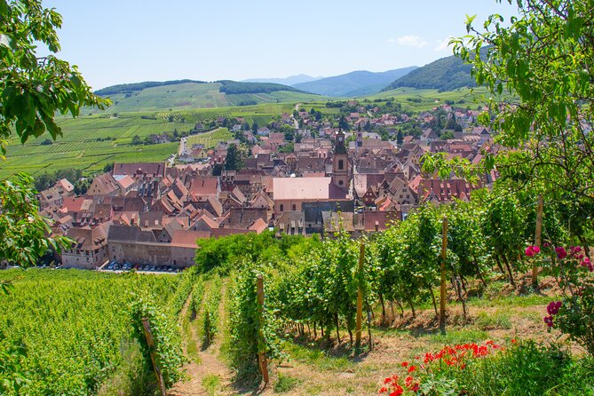Alsace Wine Route Wineries & Tasting Small Group Guided Tour From Strasbourg - Transportation and Inclusions