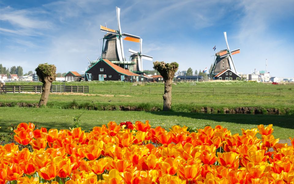 Amsterdam: Keukenhof and Zaanse Schans Windmills Day Trip - Customer Feedback and Ratings