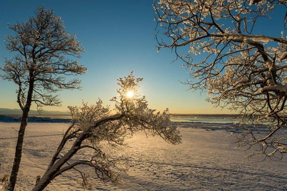 Anchorage: Sunset Photo Safari - Group Size and Availability