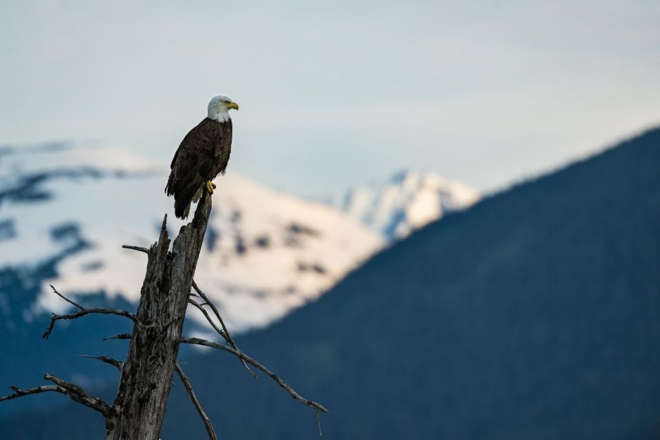 Anchorage: Turnagain Arm Highlights Photography Day Trip - Capturing Coastal Mudflats and Waterfalls