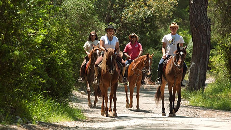 Antalya: Forest & Beach Horse Riding Safari - Highlights of the Adventure