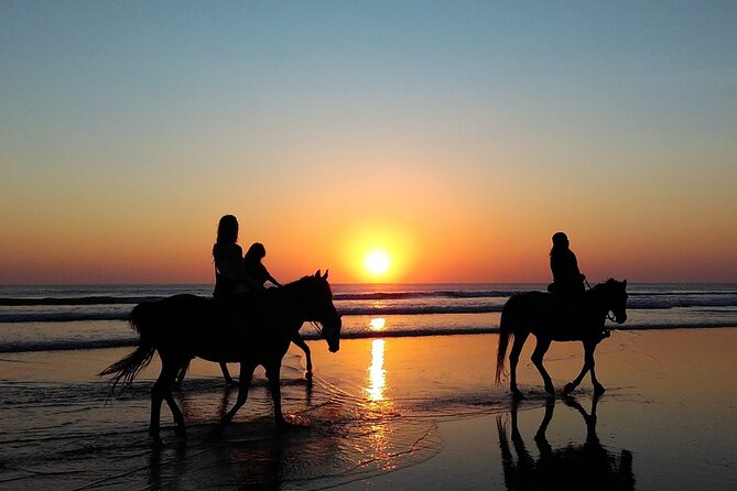 Antalya Horse Riding On Beach And Through The Forests For 2 Hours - Weather Considerations