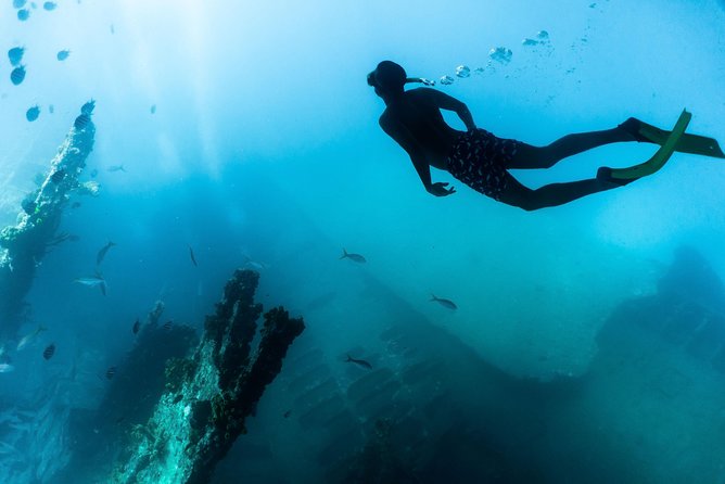 Antilla Shipwreck and Catalina Bay Snorkel Sail - Visibility and Marine Life Sightings