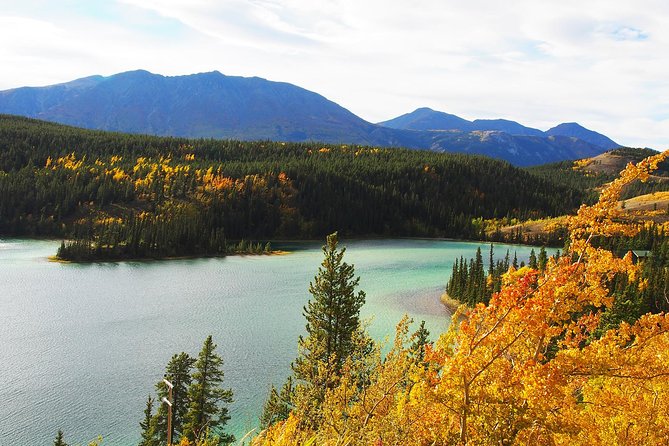 Arctic Day: Carcross & Southern Lakes Hiking Tour | Full Day - Inclusions and Meeting Point