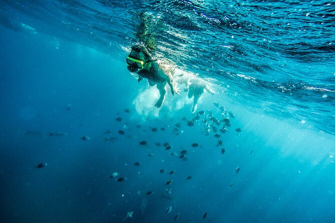 Aruba Afternoon Snorkel Sail Aboard Palm Pleasure Catamaran - Antilla Shipwreck Exploration