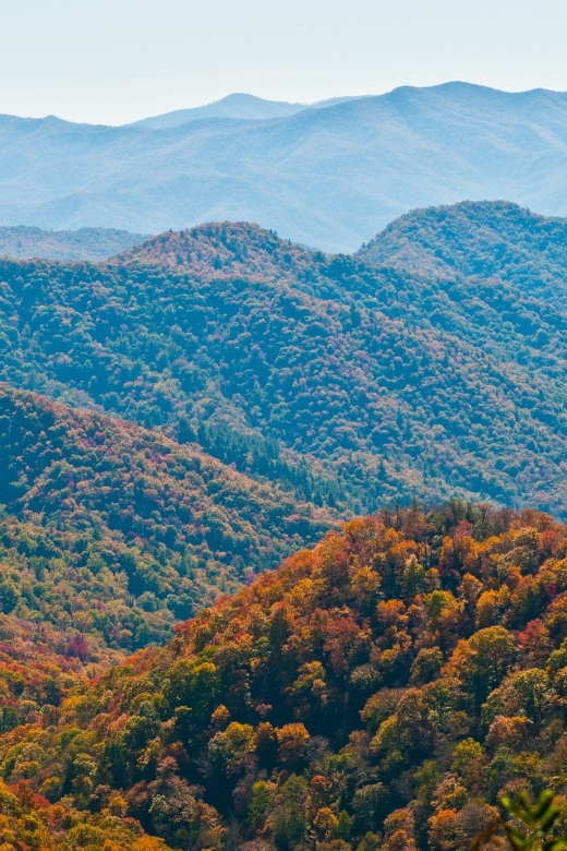 Asheville: Blue Ridge Mountains Tour for Children! - Hiking Trail Details