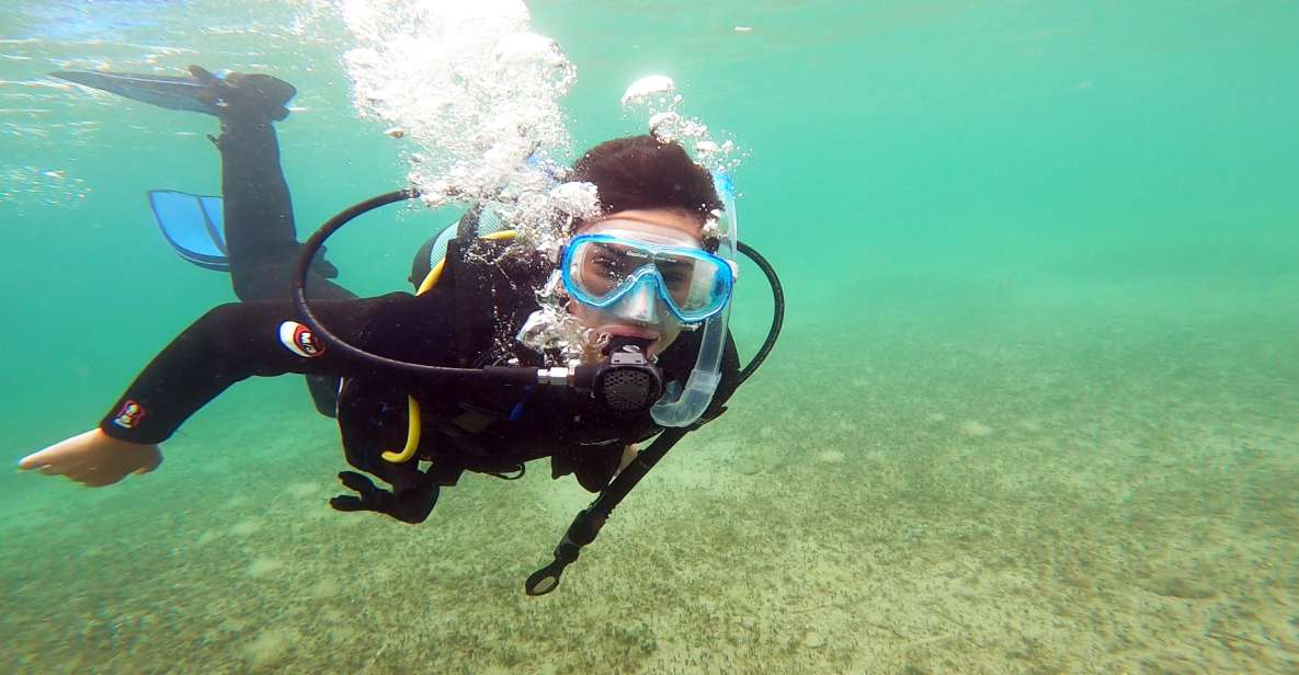 Athens East Coast: Padi Open Water Diver Course in Nea Makri - Course Structure