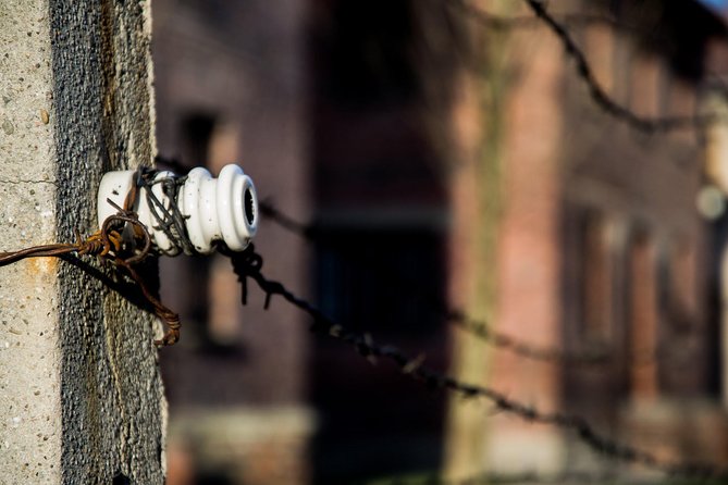 Auschwitz-Birkenau Memorial and Museum With Private Transfers From Krakow - Health and Safety