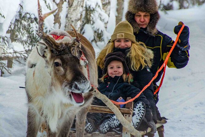 Authentic Reindeer Farm Experience in Rovaniemi - Included Transportation and Amenities