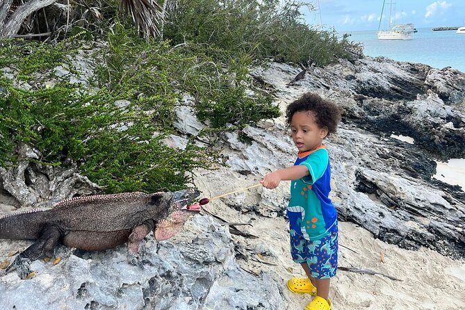 *Authentic Swimming Pigs Tour*Shark Encounter*Feed Iguanas* - Logistics