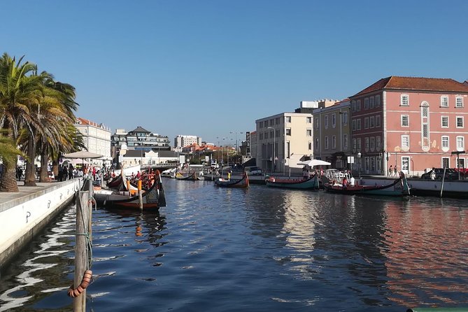 Aveiro and Coimbra Small Group Tour With River Cruise From Porto - Additional Information