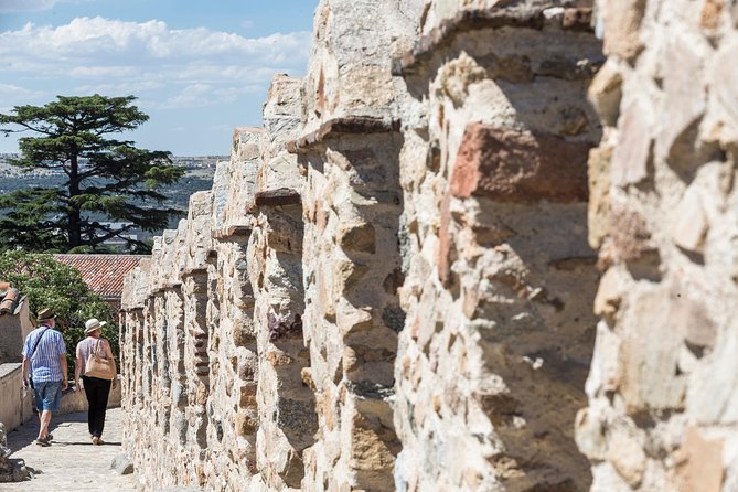 Avila With Walls & Segovia With Alcazar From Madrid - Panoramic Views and Photo Opportunities