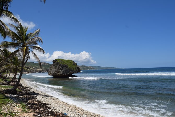 Barbados Shore Excursion: Barbados Surf & Turf - Bathsheba Beach Exploration