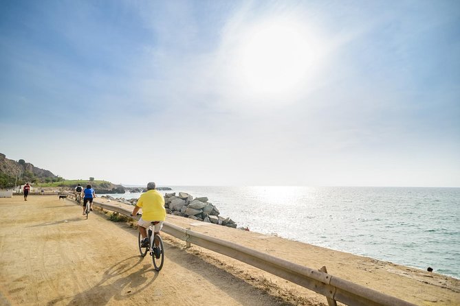 Barcelona Ebike Beach Tour to Vineyards, Wine Tasting & Picnic - Experiencing the Wine Tasting