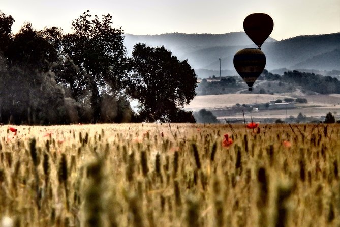 Barcelona Montserrat Hot-Air Balloon Ride - Suitability and Restrictions