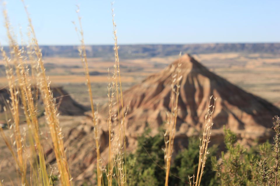 Bardenas Reales: Guided Tour in 4x4 Private Vehicle - Utilizing Binoculars and Air-conditioning