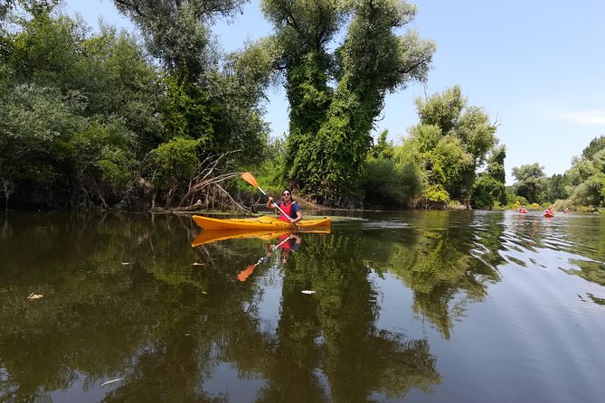 Belgrade Amazon Kayak Adventure - Accessibility and Health Restrictions