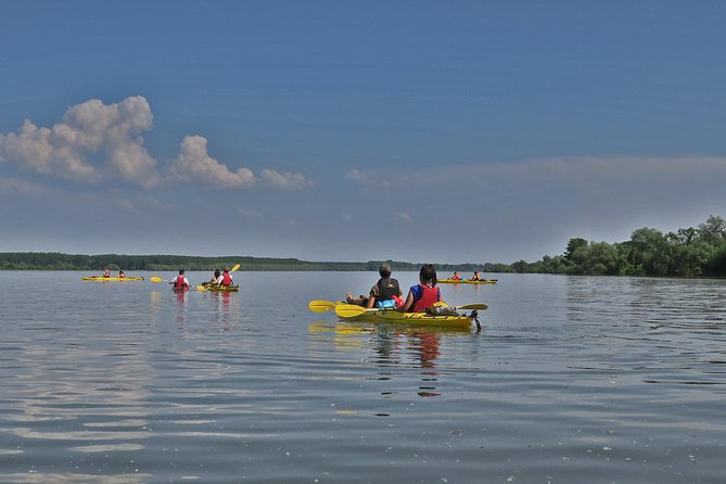 Belgrade War Island Kayak Tour - Exploring Lido Beach