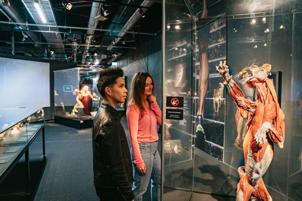 Berlin: Tickets for the BODY WORLDS Museum in Berlin - Dive Into the Muscular System