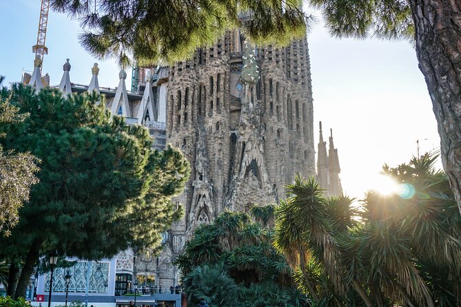 Best of Barcelona: Sagrada Familia, Park Guell, Montjuic & Gothic - Cancellation Policy