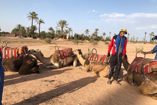 Best Sunset Camel Ride With Tea Break in Palm Grove of Marrakech - Important Additional Information