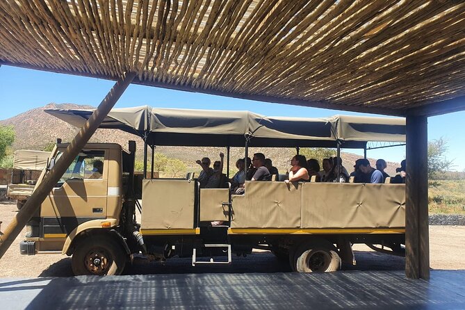 Big 5 Safari Aquila Full Day Private Return From Cape Town - Activity Logistics