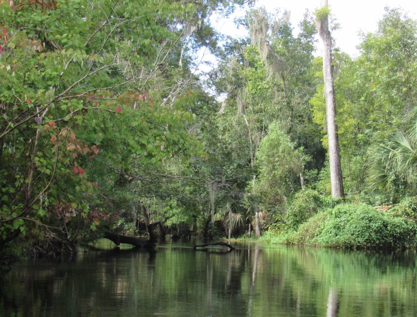 Blackwater Creek: Exclusive Nature Escape Kayak Adventure - Itinerary and Activities