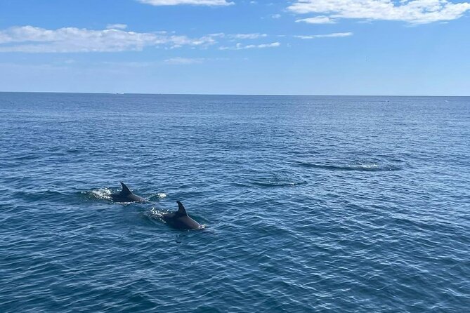 Boat Trip Through the Bay of Estepona - Age and Group Size Restrictions