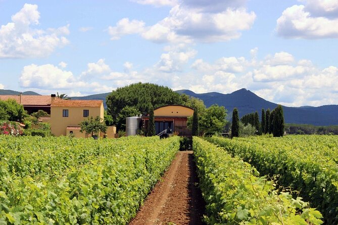 Bolgheri: Premium Wine Tasting With Winery Tour - Tour Inclusions and Details