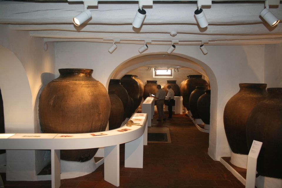 Borba: Winery Tours and Amphora Wine and Snacks Tasting - Interactive Museum Experience