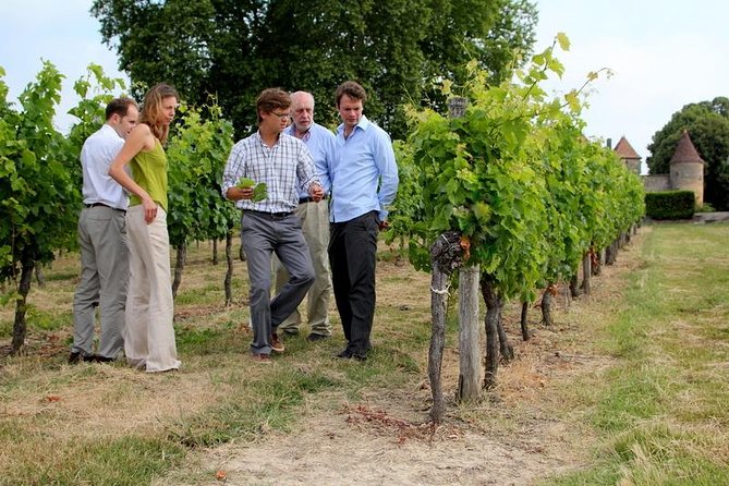 Bordeaux Super Saver Wine Tasting Class With Lunch and St Emilion Region - Likely to Sell Out