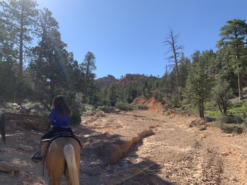 Bryce Canyon City: Horseback Riding Tour in Red Canyon - Ride Experience