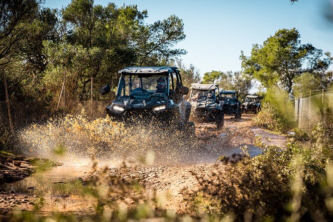 Buggy 2-seater and 4-seater Off-On Road Tour in Mallorca - Buggy Options