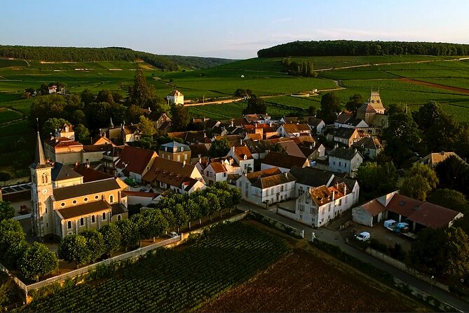 Burgundy Grand Crus Route Day Tour - 12 Wines Tastings in Domains - Cancellation Policy