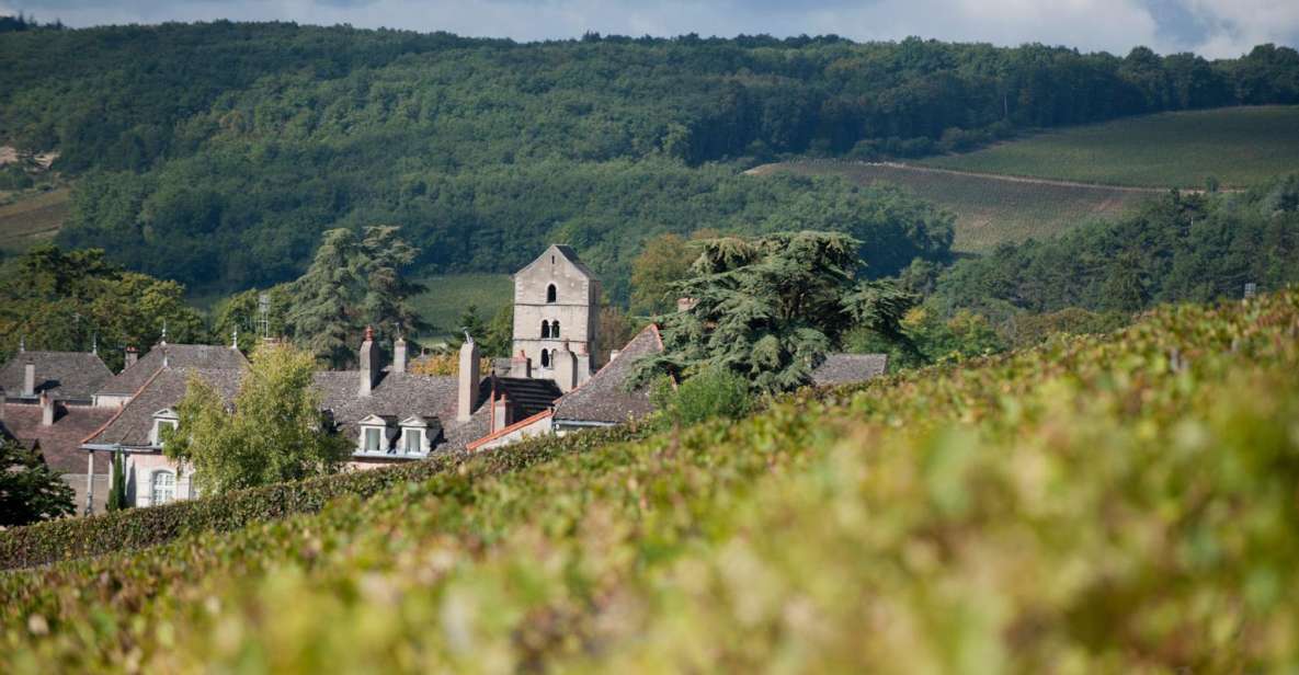 Burgundy: Guided Vineyard and Winery Tour With Wine Tasting - Tasting Organic Wines: Villages and Premier Crus