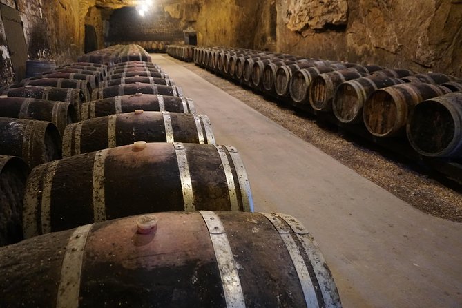 Burgundy Wine Tasting Small-Group Tour in Chablis From Paris - Tour Itinerary