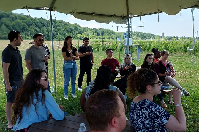 Burst Out and Bubble Up Ice Wine Tour - Ice Wine Tasting