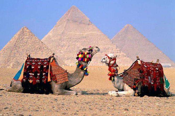 Cairo Over Day Pyramids & Egyptian Museum and Lunch - Hurghada - Professional Tour Guide