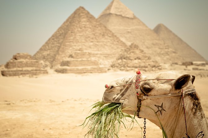 Cairo Private Tours To Giza Pyramids,Egyptian Museum & Bazaar - Cancellation and Medical Conditions