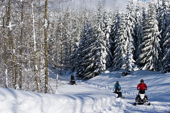 Callaghan Cruiser Snowmobile Tour - Meeting and Pickup