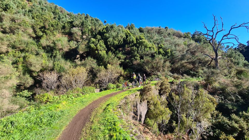 Camacha: Levada Trail E-Bike Guided Tour - Participant Requirements