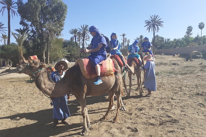 Camel Ride & Quad Bike Tours in the Palm Grove of Marrakech - Booking Requirements