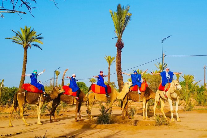 Camel Trek Around Marrakech Palmeraie - Travelers Recommendations