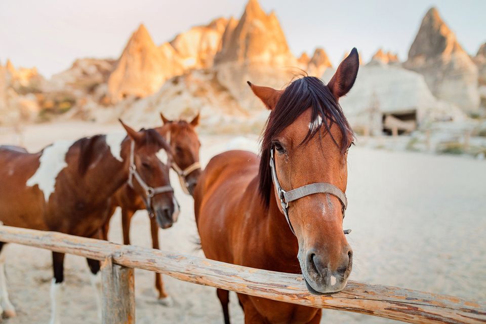 Cappadocia: Horse Riding W/Sunrise & Sunset Option - Pickup and Drop-off Service