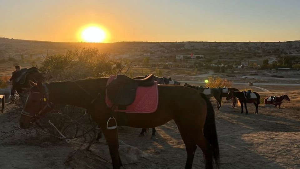 Cappadocia Horseback Riding Tour - Scenic Views and Activities