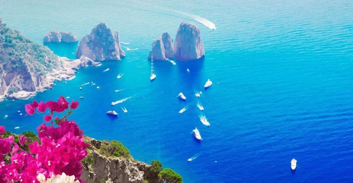 Capri Boat Tour, 8 Hours, From Sorrento, Positano, Massa Lubrense - Client Testimonials